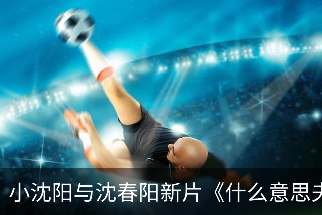 小沈阳与沈春阳新片《什么意思夫妇》或将难以取得好成绩